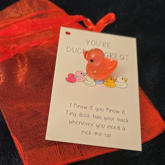 Pocket Hug Red Duck - Picture 2 of 4